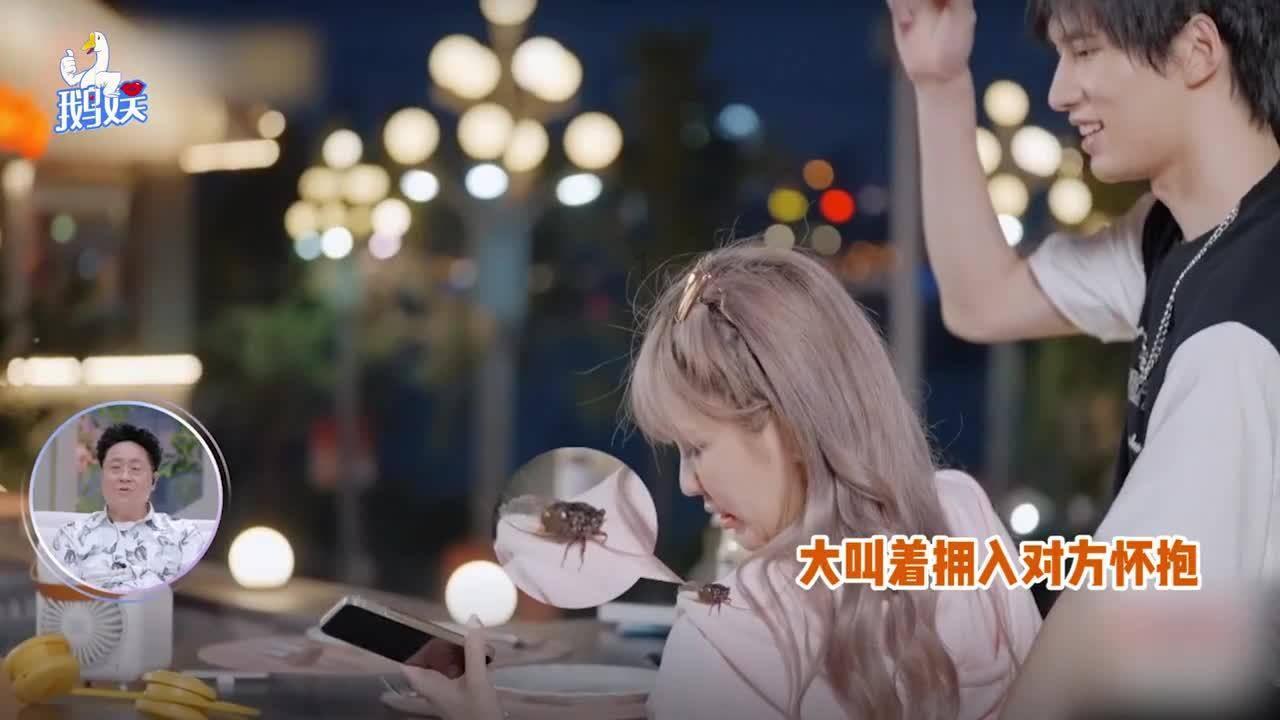 探索如何区别桃花和樱花?话题与分享 - 如何区别桃花和樱花?红迪网